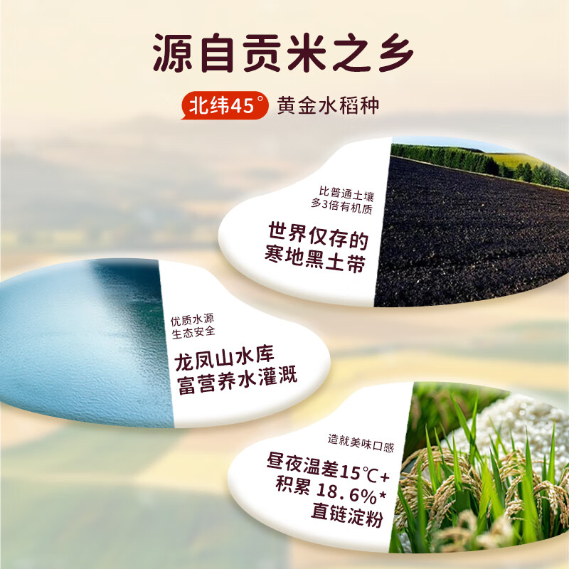 十月稻田长粒香米五常大米5kg非转基因自然香甜健康营养美味生态种植高清大图