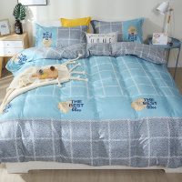 被套被罩单件单人双人床学生宿舍1.52.0米2m1.8水洗棉褥子套_2 150x200cm【AB被套单件】 格间小花