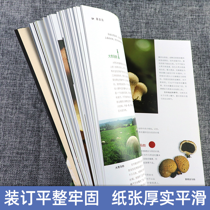 [正版] 蘑菇园 静静地寻找菌子 世界菌王意大利美食教父安东尼奥 菌鉴别 100多种菌类菜谱意大利面美食烹饪食谱书籍高清大图