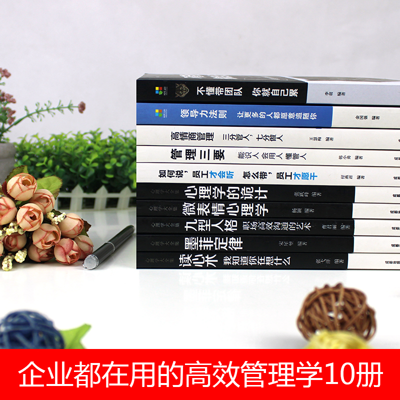 [正版]管理方面的书籍全10册不懂带团队你就自己累领导力法则高情商管理墨菲定律九型人格执行力公司经营行政企业管理阿尔泰高清大图