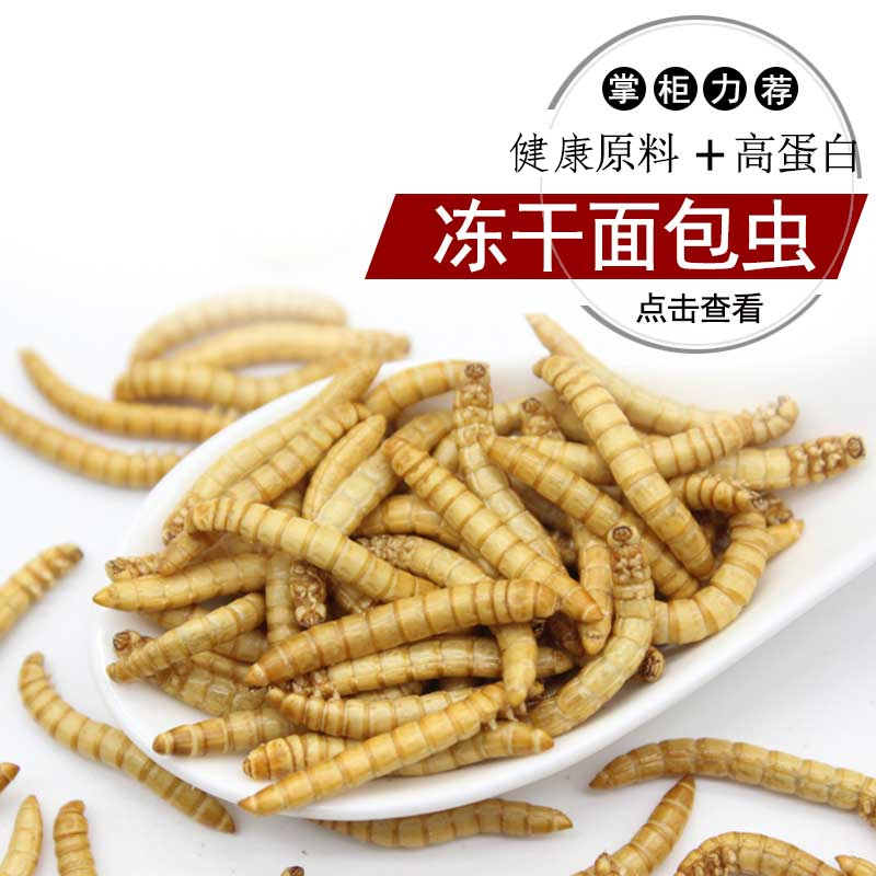干粉虫鸟食龟食仓鼠零食龙鱼鹦鹉罗汉地图鱼鱼食高清大图