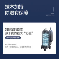 格力(GREE)抽湿机/除湿机 除湿量12升/天 家用轻音卧室办公室地下室低噪干衣除湿器长效定时 (DH12EN)