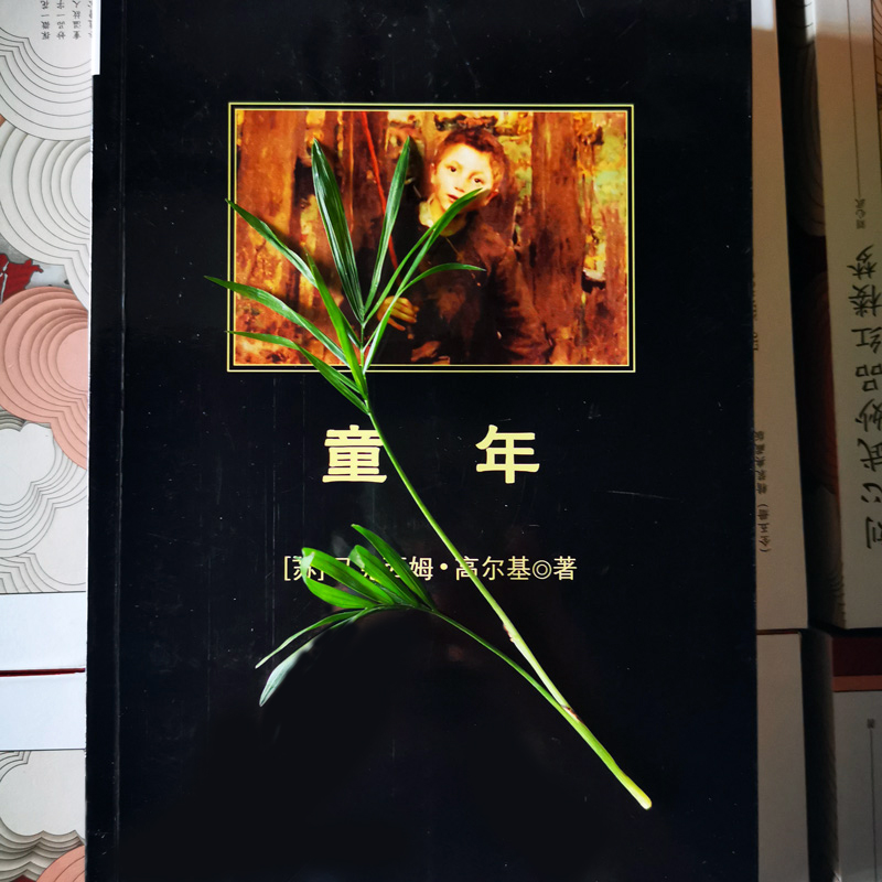 醉染图书童年9787561348635高清大图