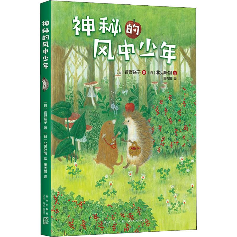 醉染图书神秘的风中少年9787513332439高清大图
