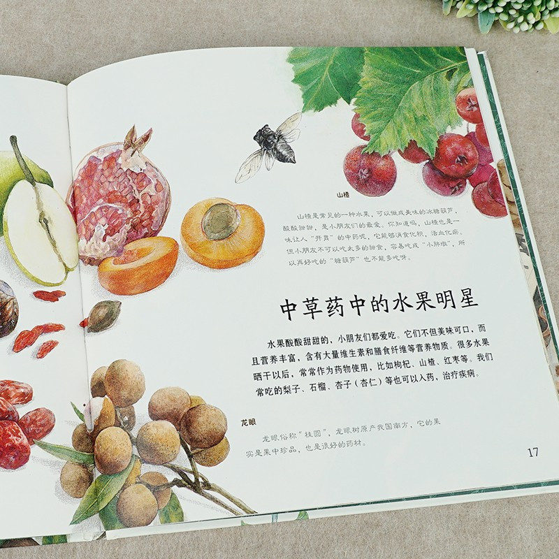 [精装硬壳 益智百科]噢!中国茶 [正版]噢!中草药绘本二年级阅读张祖庆说百班千人植物科普暑假课外读物小学生2年级学期上