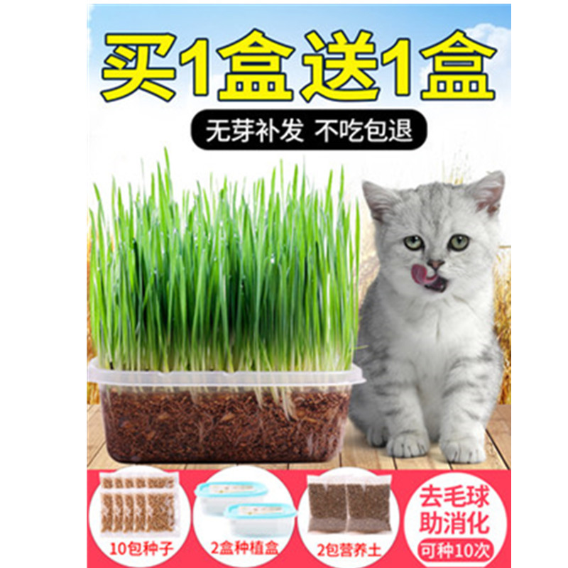 猫草种子薄荷粉猫零食猫咪化毛去毛球猫草大麦种植套装猫咪用品