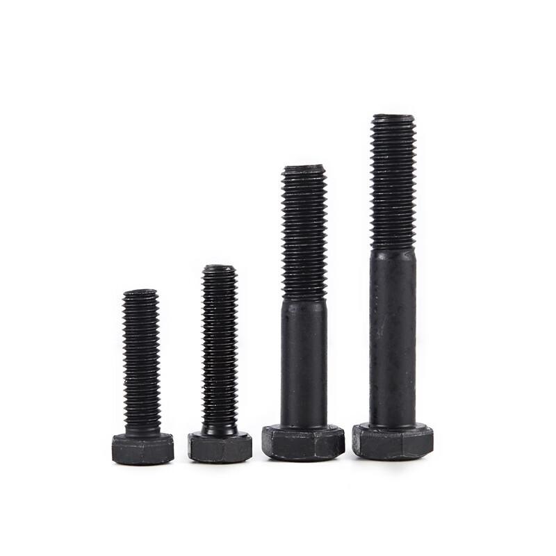 册宣 外六角 全牙 M20×60mm 10.9级 高强螺栓 100只/袋