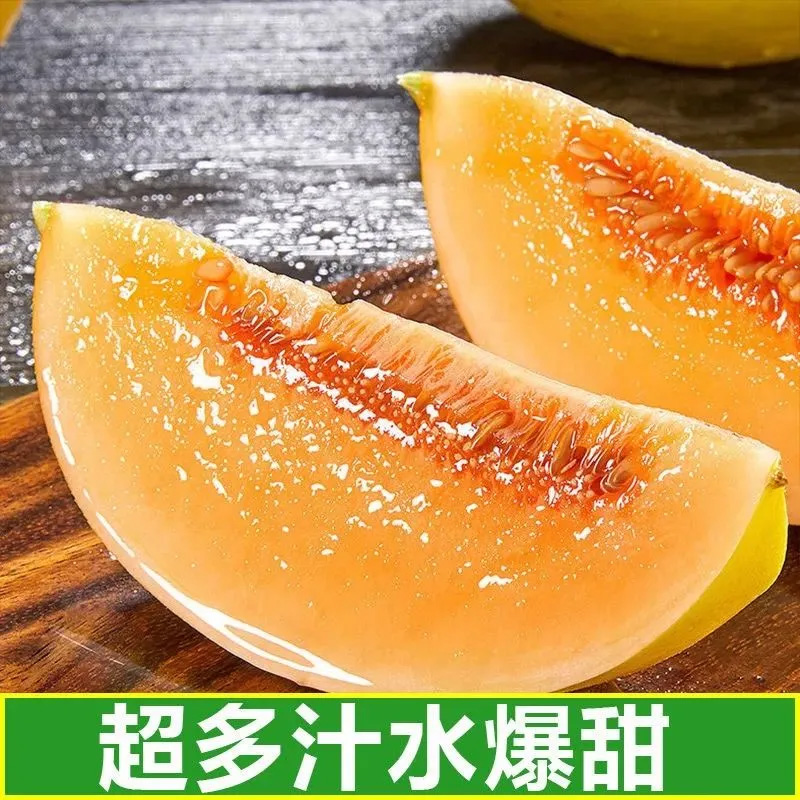 [清甜大果]五个农民陕西黄河蜜甜瓜8.5-9斤优选大果新鲜当季水果整箱5斤黄金哈密瓜民勤蜜瓜孕妇水果高清大图