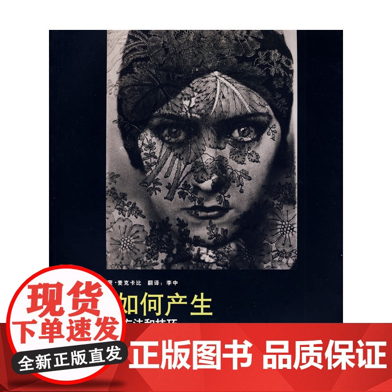 杰作如何产生——摄影大师的方法和技巧高清大图