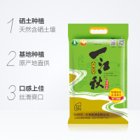 一江秋 南方长粒香大米5KG/10斤