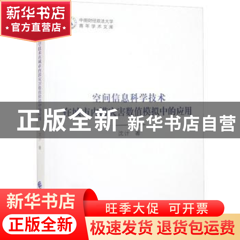 正版 空间信息科学技术在城市内涝灾害数值模拟中的应用 沈计著高清大图