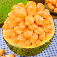 [西沛生鲜]海南红肉菠萝蜜 新鲜水果 香甜可口 1个 6-8斤装 西沛水果