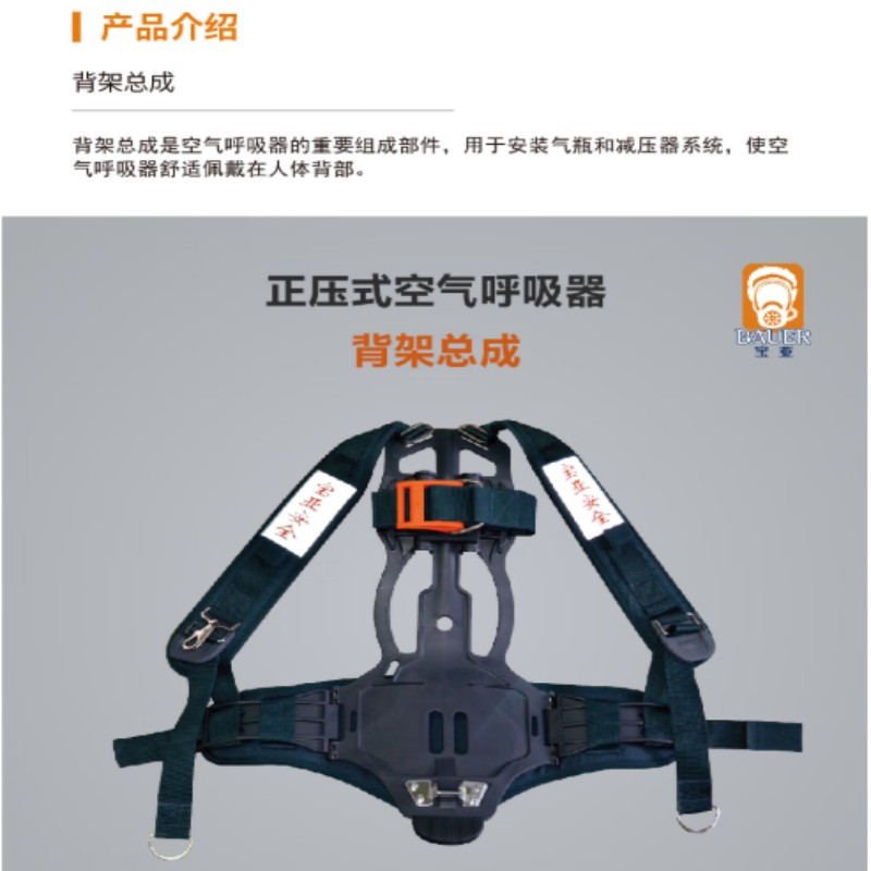 宝亚安全上海宝亚背架总成 黑色高清大图