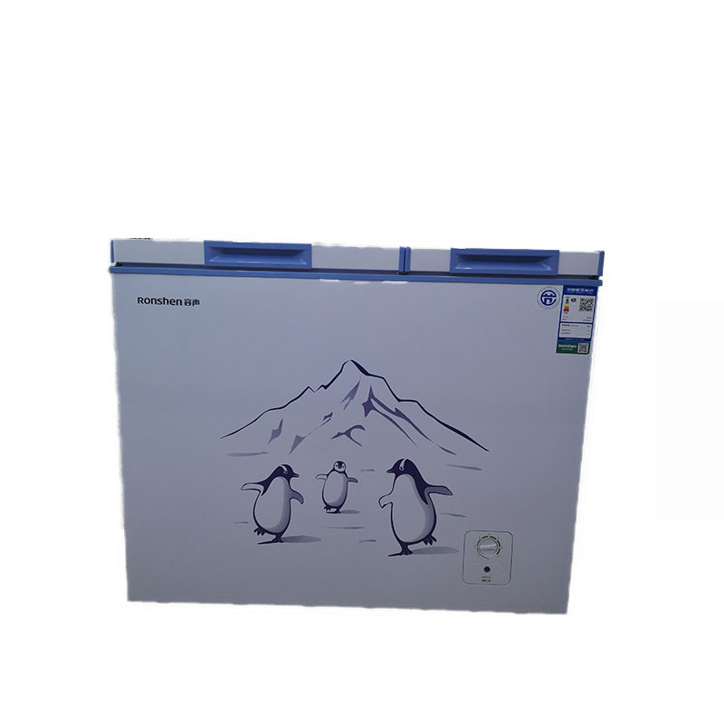 容声ronshen166升双温双箱冰柜大冷冻小冷藏卧式冰箱家用商用一级能效