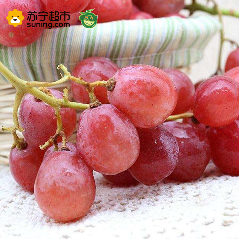 展卉 智利红提 提子 进口葡萄 500g装 新鲜水果