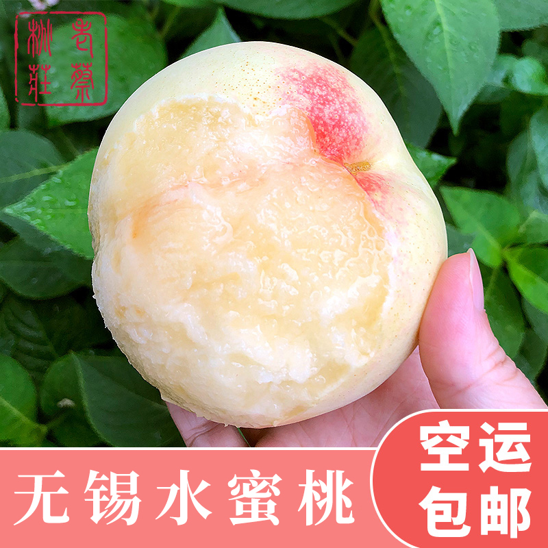 空运发货 江苏无锡水蜜桃 阳山镇老蔡桃庄 可撕皮滴水软桃 新鲜水果 单果8-9两 8只装 礼盒高清大图