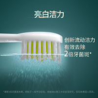 飞利浦(Philips)电动牙刷全自动男女软毛亮白机皇声波震动HX2451/08