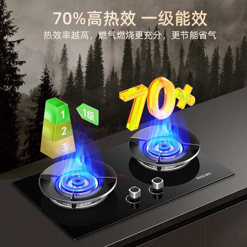 樱雪INSE燃气灶液化气 双灶具 家用5.0kW猛火灶灶台嵌两用 70%高热效 可调节底盘Q2高清大图