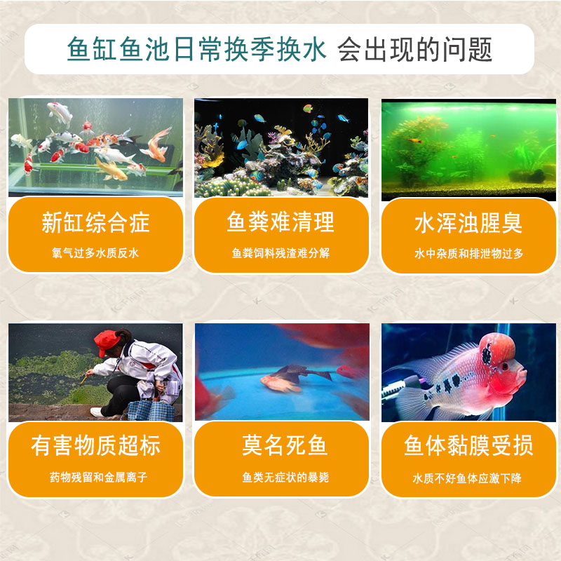 锦鲤硝化细菌鱼缸虫菌净水剂除氯绿水浑水净化观赏鱼高清大图
