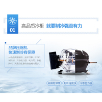 Haier/海尔 冰激凌雪糕柜 卧式冷柜玻璃门冷藏冷冻冰商用圆弧冷冻展示柜 SC/SD-332C