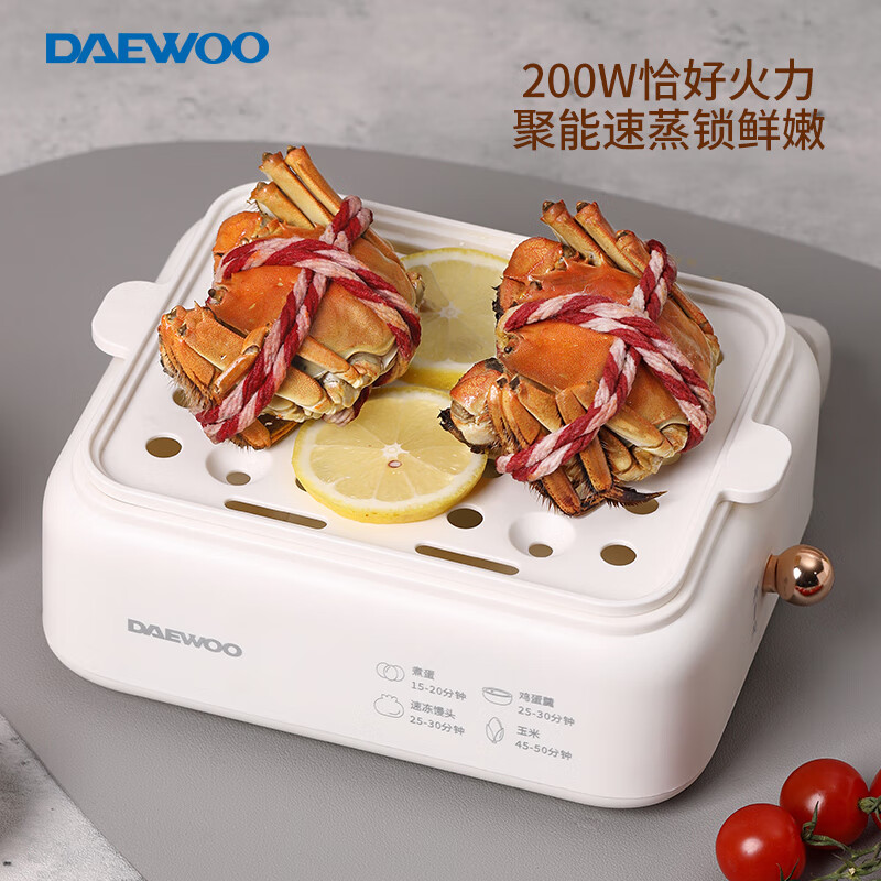 大宇(DAEWOO)多功能电蒸锅DYZD-20W3高清大图