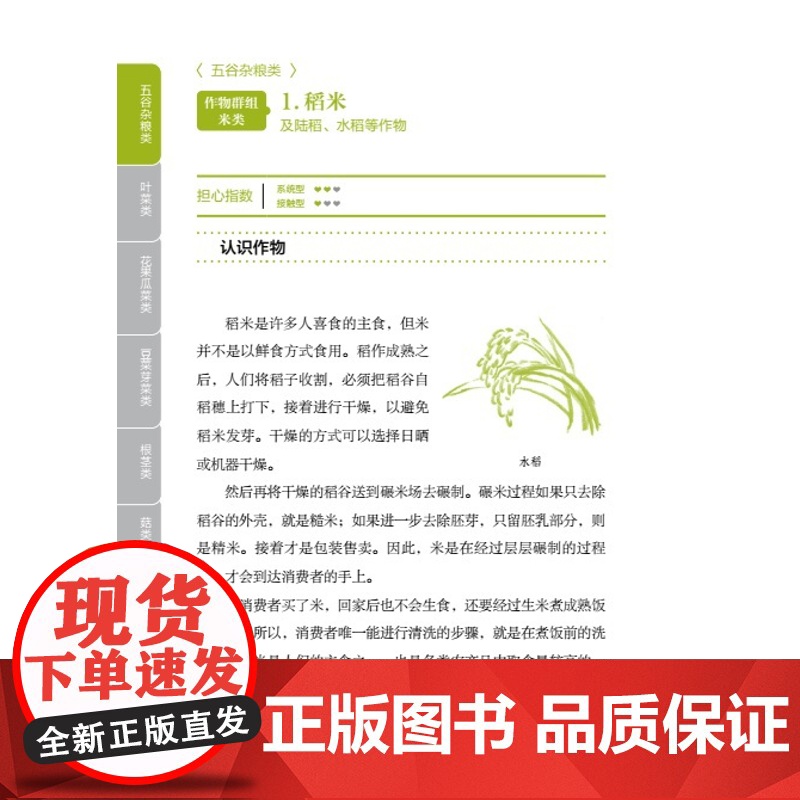 生活-正确洗菜 摆脱农药残留阴影 厨房百科一分钟了解农药残留部位 三分钟学会如何清洗 减少蔬果农药残留 把好食品安全关高清大图