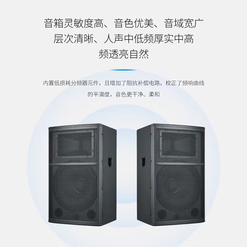 润普音视频会议室展厅教室礼堂报告厅15英寸全频会议音响/音箱/喇叭扬声器RP-HG50406高清大图