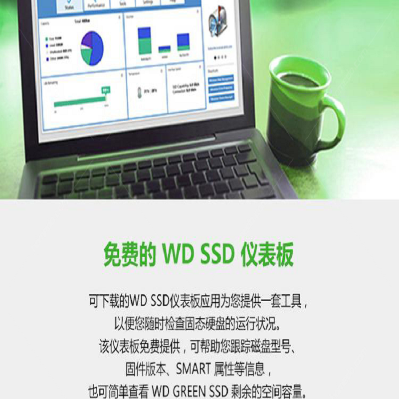 西部数据(WD) WDS120G2G0A 120G/SATA3.0 固态硬盘 (计价单位:个) 绿色