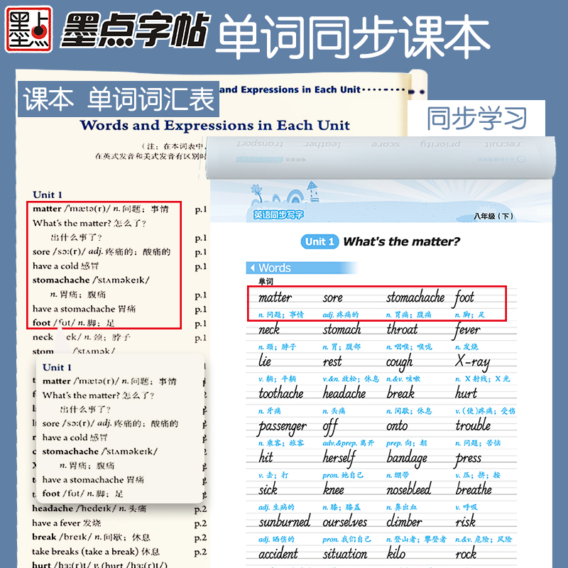 [语文同步]8年级上册+下册 [正版]八年级下册英语字帖英语同步写字人教版初中生练字课文单词短语八年级上册每日一练寒假作高清大图