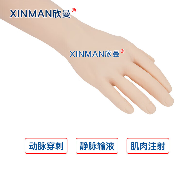 欣曼科教 高级全功能动脉注射与静脉穿刺输液手臂模型XM-S1019A高清大图