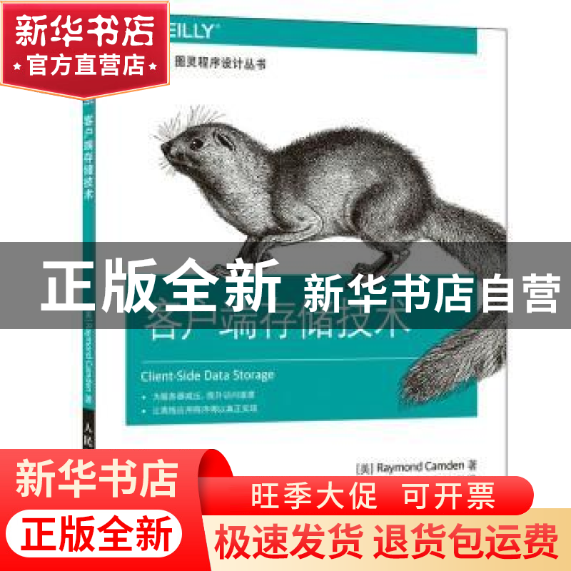 正版 客户端存储技术 [美]Raymond Camden 人民邮电出版社 978711