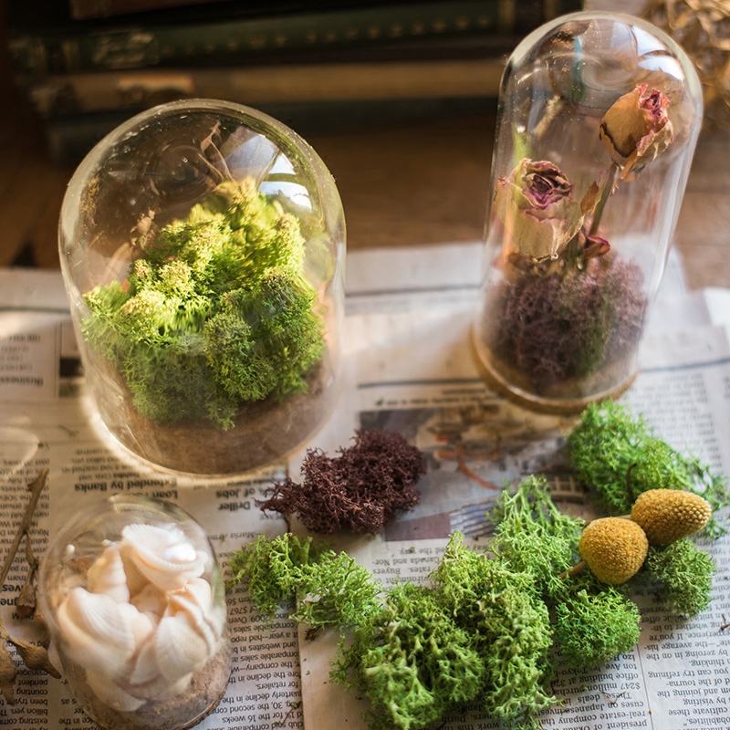 家柏饰(CORATED)软木塞玻璃罩 装饰摆件微景观干花标本公仔玩偶瓶DIY G(10cmX16cm)高清大图