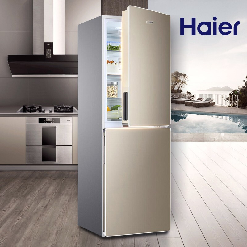 海尔(Haier)170升双门冰箱 风冷无霜 节能家用电冰箱 两门冰箱 家用小冰箱BCD-170WDPT高清大图
