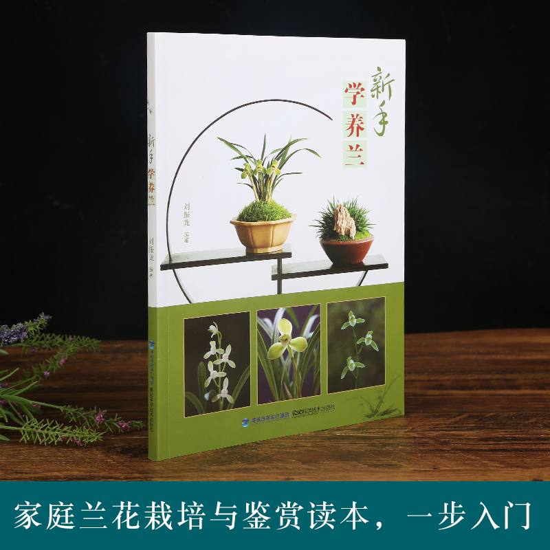 [正版]新手学养兰养花 兰花书籍大全养兰花的书兰花种植养殖技术中国兰花全书 兰花书籍大全 鉴赏 养花书籍种花大全植物书高清大图