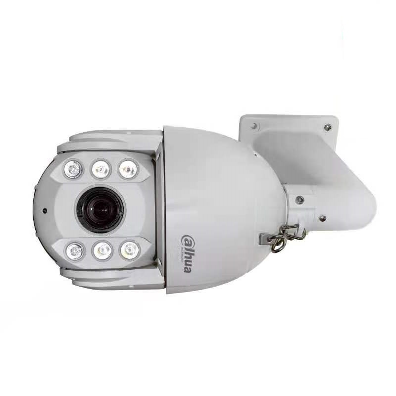 大华球型摄像机DH-IPC-6CXSHP-GF台高清大图