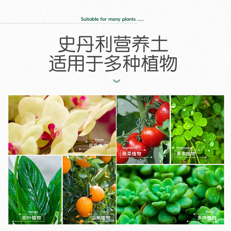 史丹利(STANLEY) 花土营养土养花通用型多肉兰花专用种菜种花盆栽家用泥炭土壤种植6L高清大图