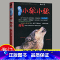 【正版】2024春下学期好书伴我成长系列 小狼小狼 小学五年级/5年级下册 狼图腾 姜戎著 浙江少年儿童出版社 儿期浙