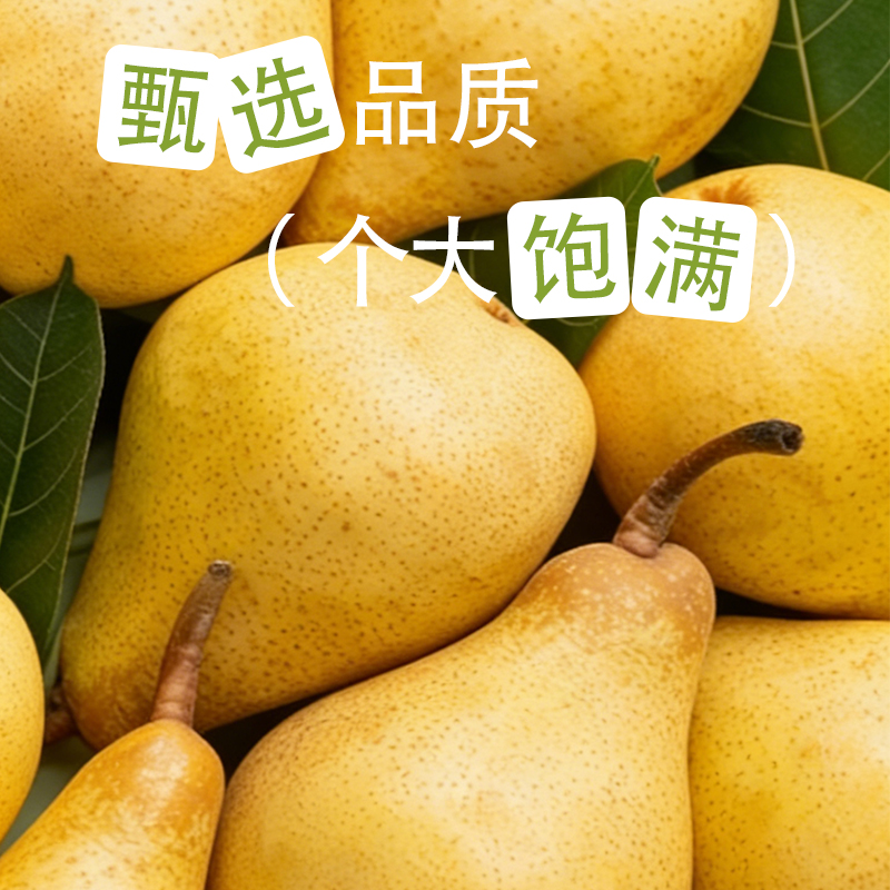花家盛世 冰糖梨罐头 510g*4瓶高清大图