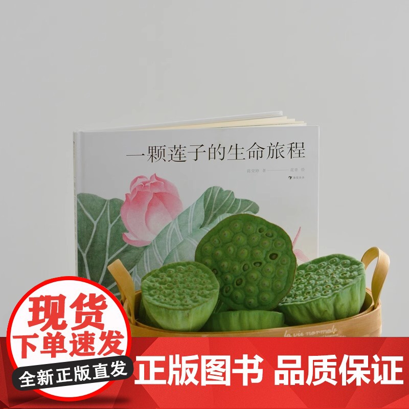 一颗莲子的生命旅程精装硬壳 以国画绘出莲的生命轮回国风情怀自然科普绘本 系统讲述莲文化和莲的科学知识 陈莹婷 浪花朵朵正高清大图