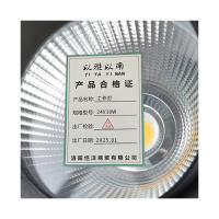以雅以南 工作灯 24V10W/个