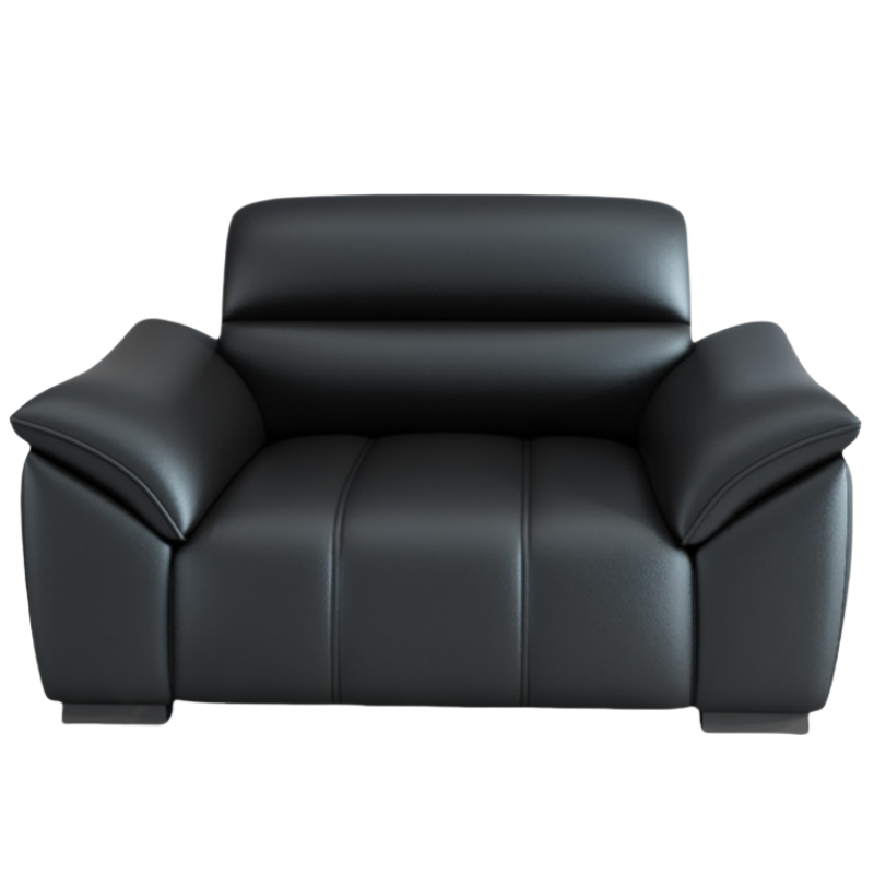 彭梵洽谈沙发高清大图