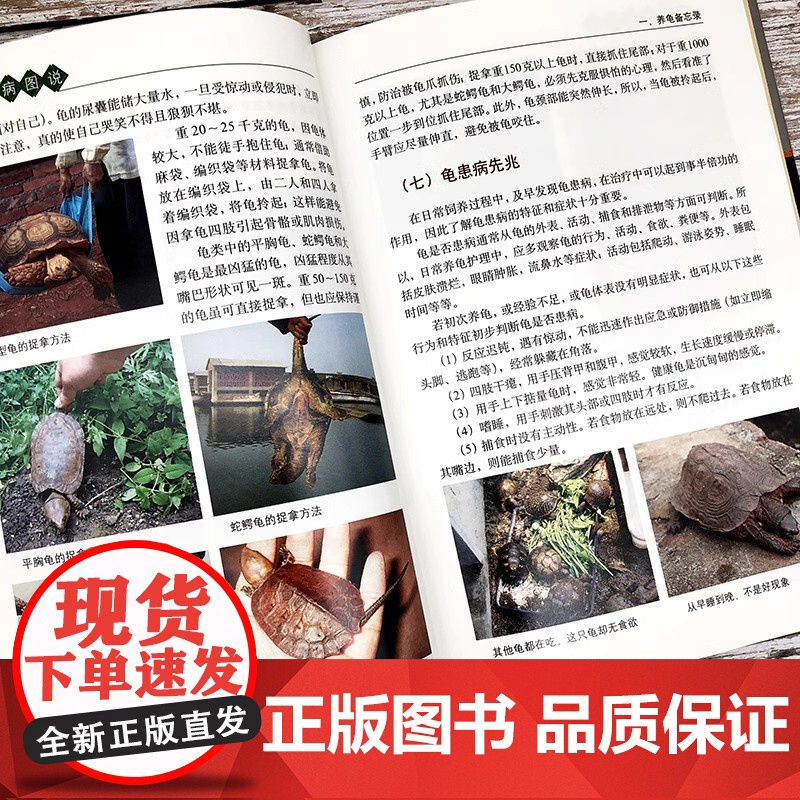 [精装]龟病图说 乌龟养殖技术养龟养好宠物龟手绘图鉴乌龟大全李艺金钱龟安布闭壳龟金钱龟乌龟书籍龟肠胃炎的书乌龟疾病书籍高清大图