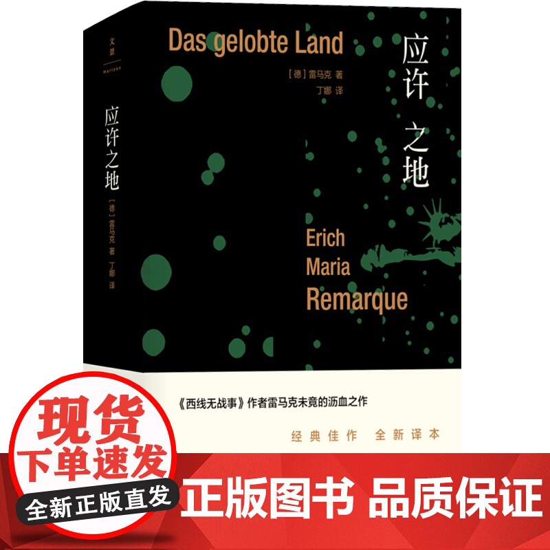 应许之地(精装) [德]埃里希玛丽亚雷马克 丁娜 雷马克作品系列 另著/西线无战事/里斯本之夜/应许之地 正版图书籍 上高清大图
