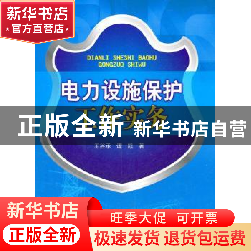 正版 电力设施保护工作实务 王谷承,谭凯著 中国电力出版社 9787高清大图