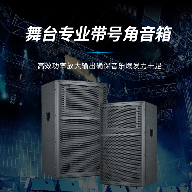 润普RP-HYX604 国产化 音视频会议室展厅教室礼堂报告厅15英寸号角全频会议音响/喇叭扬声器高清大图