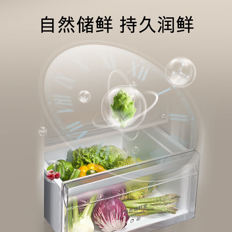 西门子KA92E1141C [60cm超薄平嵌 ]512升变频无界对开门家用冰箱 双开门 抗菌净味 变温储鲜室三档储鲜高清大图