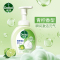 滴露玻尿酸泡沫抑菌洗手液青柠香型250ml*2瓶儿童泡泡家用洗手