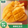 SF快递【苏鲜生】新鲜红玉芒 中果 净重8.5斤 单果200-300g