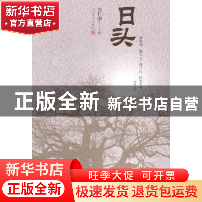 正版 日头 关仁山著 人民文学出版社 9787020105168 书籍