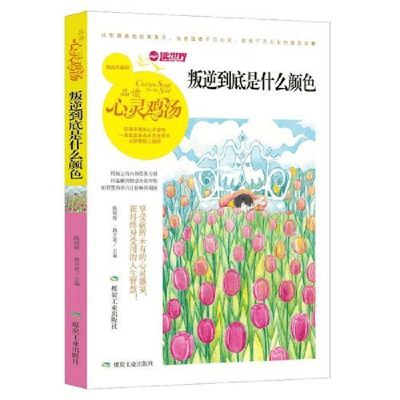 正版新书]心灵鸡汤-叛逆到底是什么颜色陈晓辉9787502058616图片